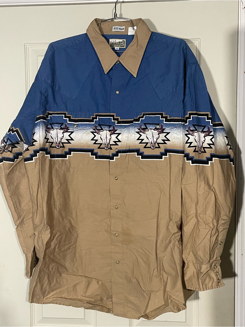 Express Rider 2X Big Man Bull Skull Pearl Snap Long Sleeve Shirt